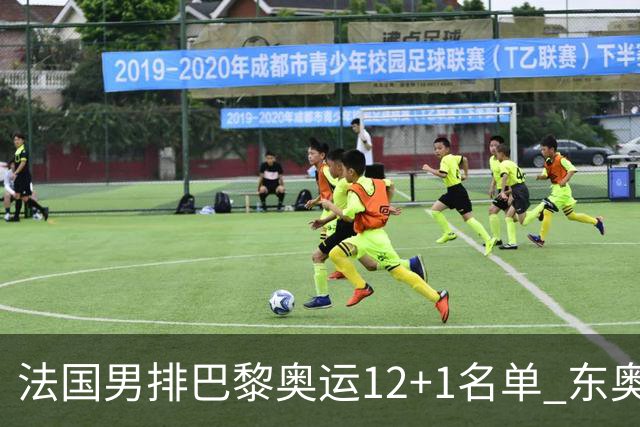 法国男排巴黎奥运12+1名单 东奥MVP恩加佩斯领衔